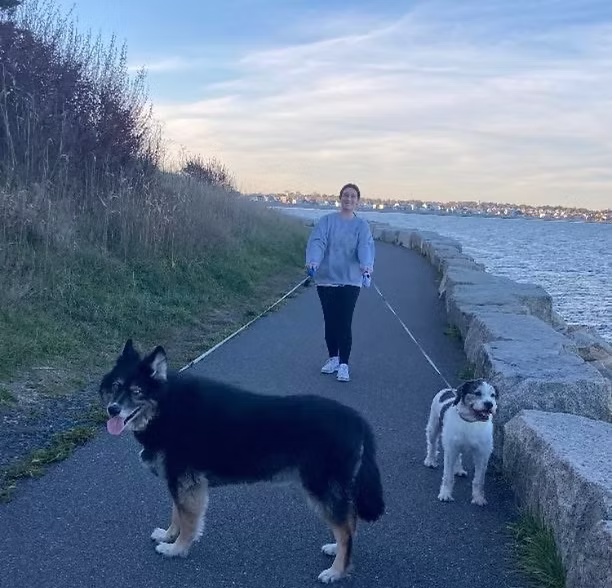 Person walking two dogs by water